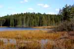 Penn Swamp pond