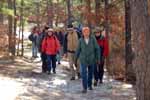 Outdoor Club of South Jersey hikers, near Batsto river - 01/12/00
