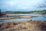 Abandoned cranberry bog reservoir near Bullock - 01/04/00